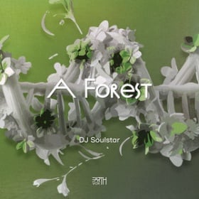 DJ SOULSTAR - A FOREST